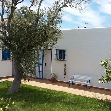 Casa Montecote Playa Los Canos De Meca Ngoại thất bức ảnh